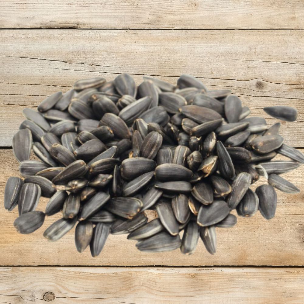 Premium Black Oil Sunflower Wild Bird Seed