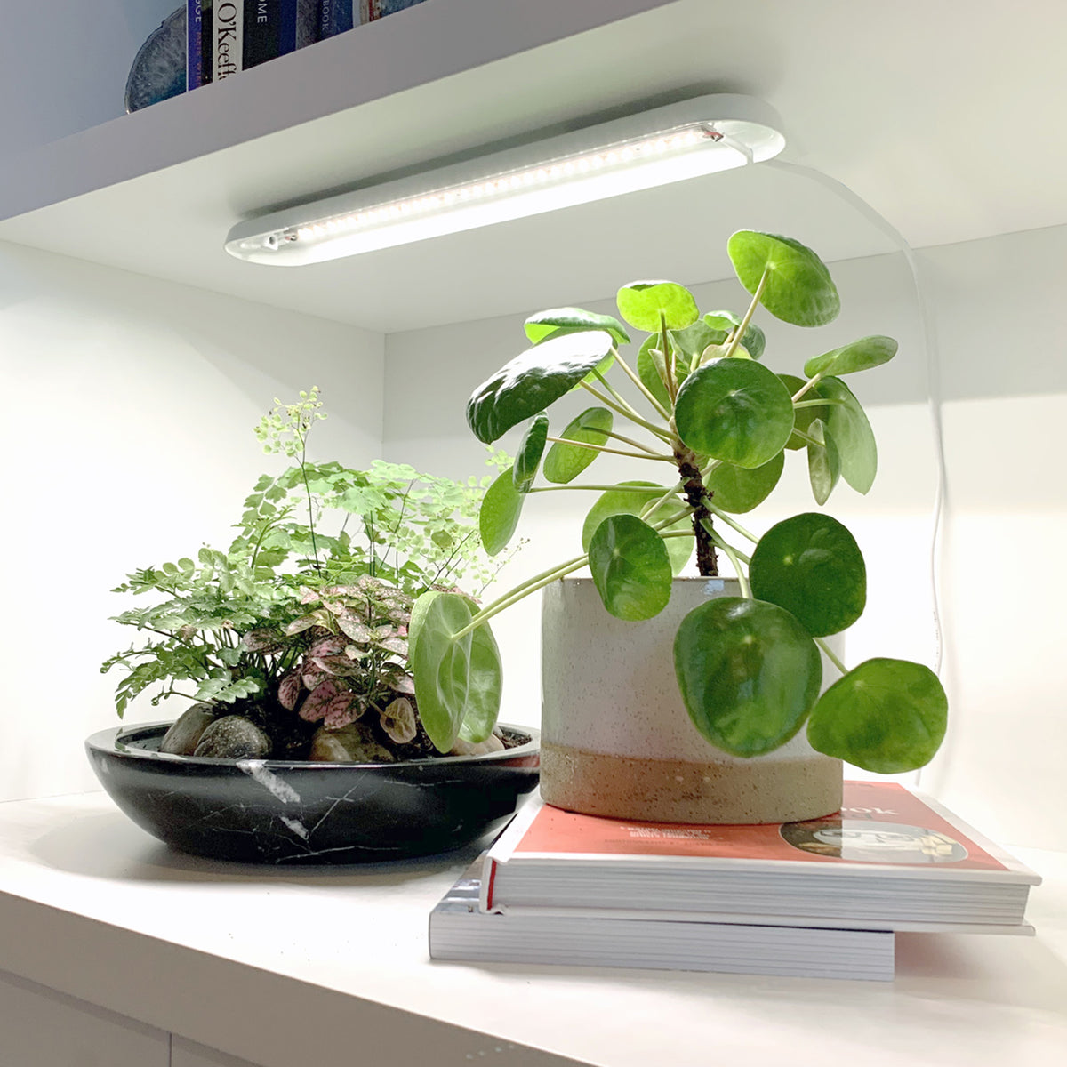 Smart Growbar
