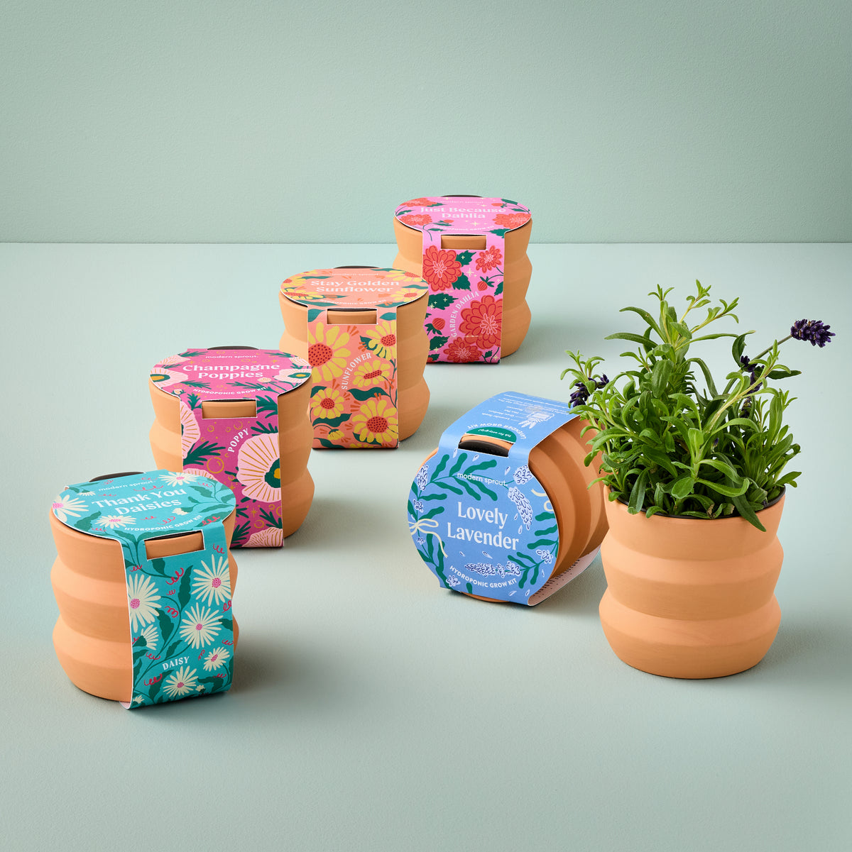 New Tiny Terracotta Grow Kits