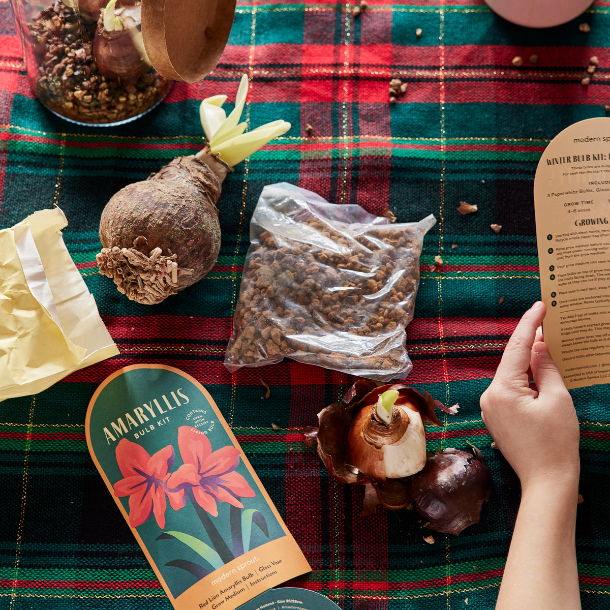 Winter Bulb Kits