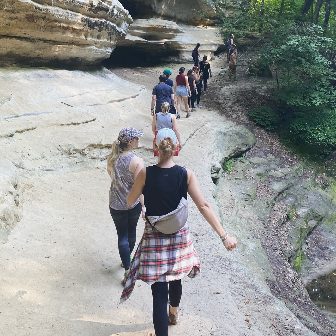 A group of hikers walking along a rocky path in a lush green forest, enjoying nature and exploring the outdoors.