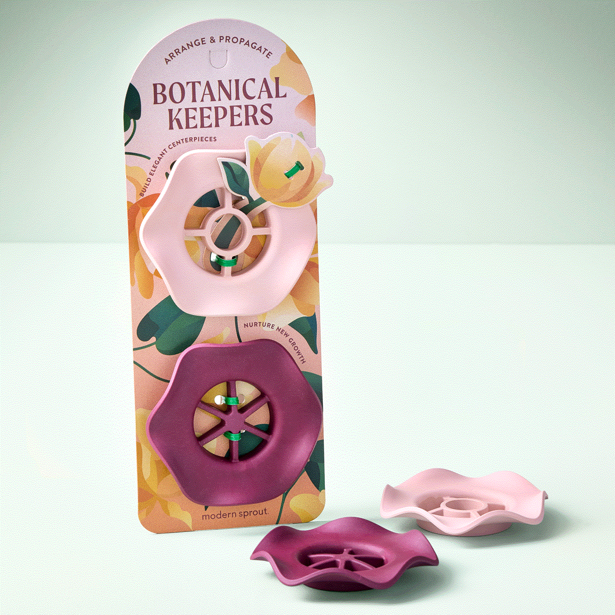 Three colorful botanical keepers in pink and burgundy, designed for arranging and propagating indoor plants.