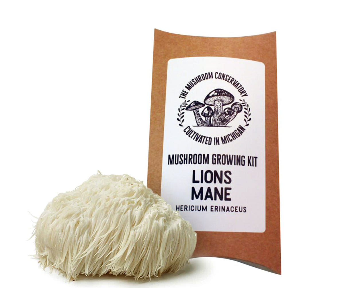 Lion's Mane Mushroom Growing Kit