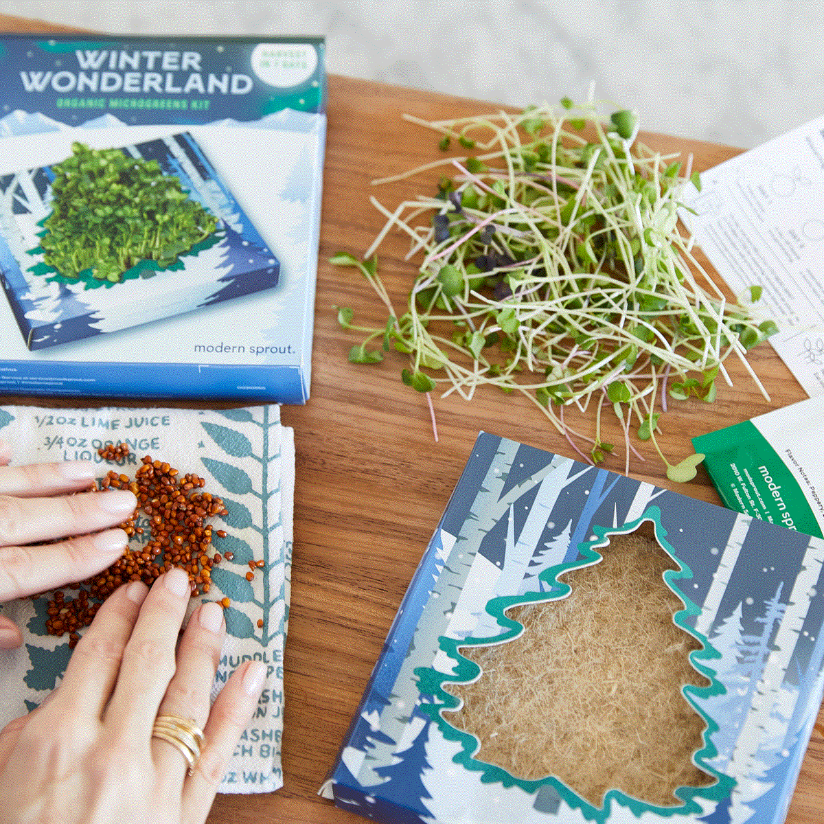 A hand sprinkles seeds over a fabric surface next to a winter-themed organic microgreens kit and fresh sprouts.