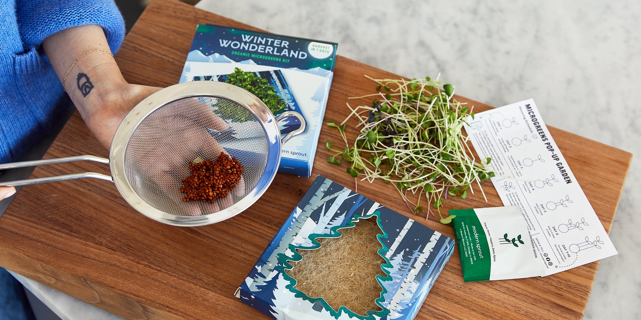 A hand holding a sieve with seeds, next to plant sprouts, seed packets, and an instruction guide on a wooden surface.