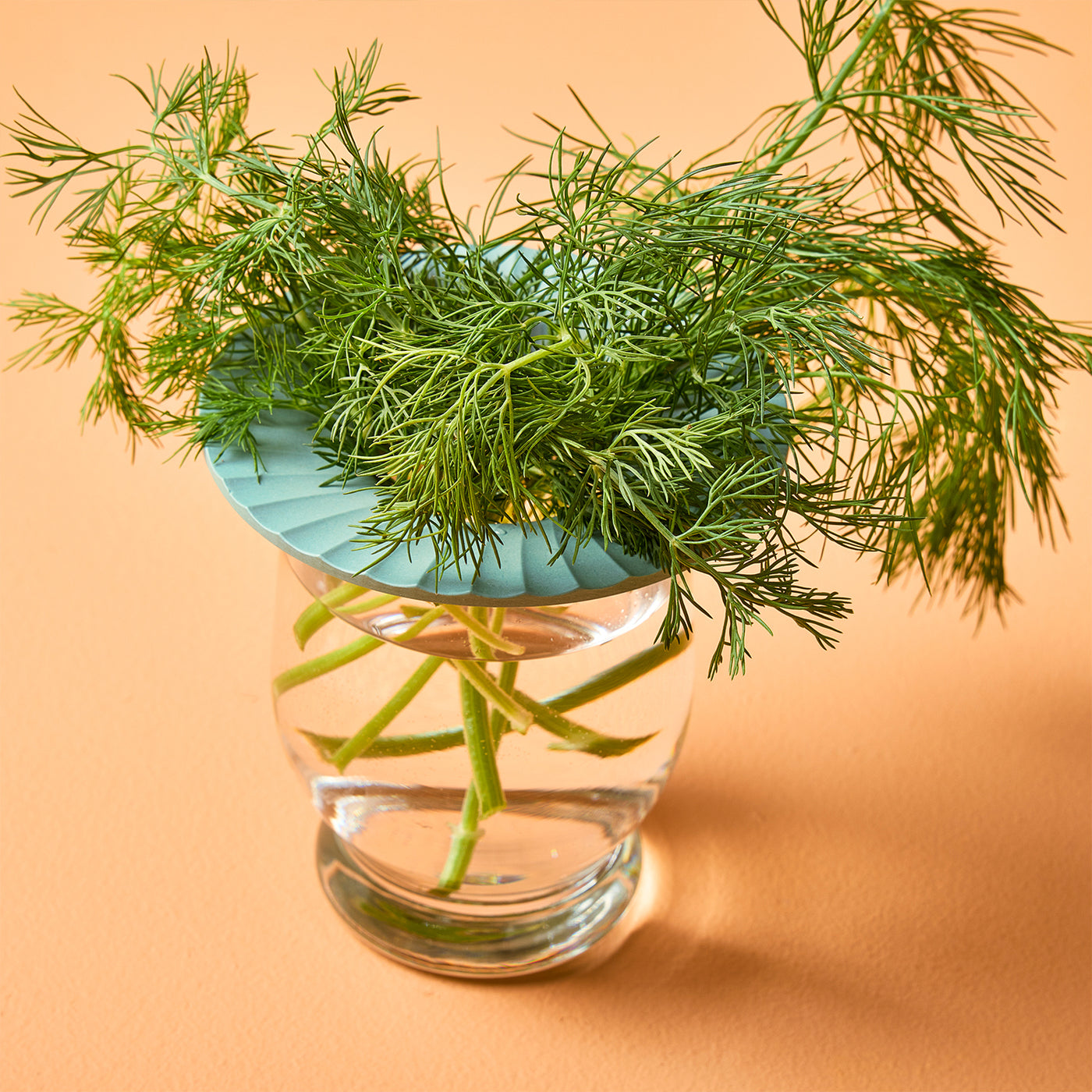 Clear glass jar with fresh dill and green stems, topped with a light blue hydroponic lid on a peach background.