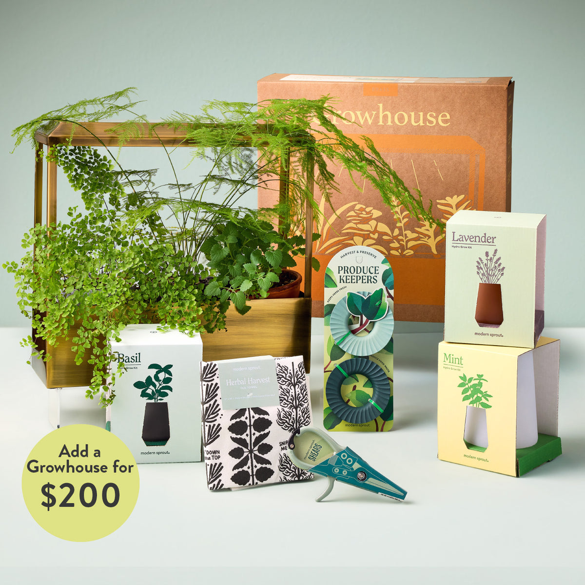 Indoor hydroponic grow kit with herbs, plant accessories, and packaging boxes in green, white, lavender, and natural wood ...