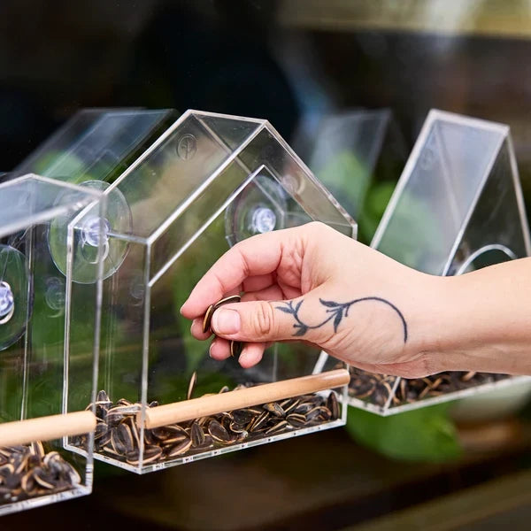 Modern Sprout Birds on the Block clear acrylic window bird feeders filled with sunflower seeds