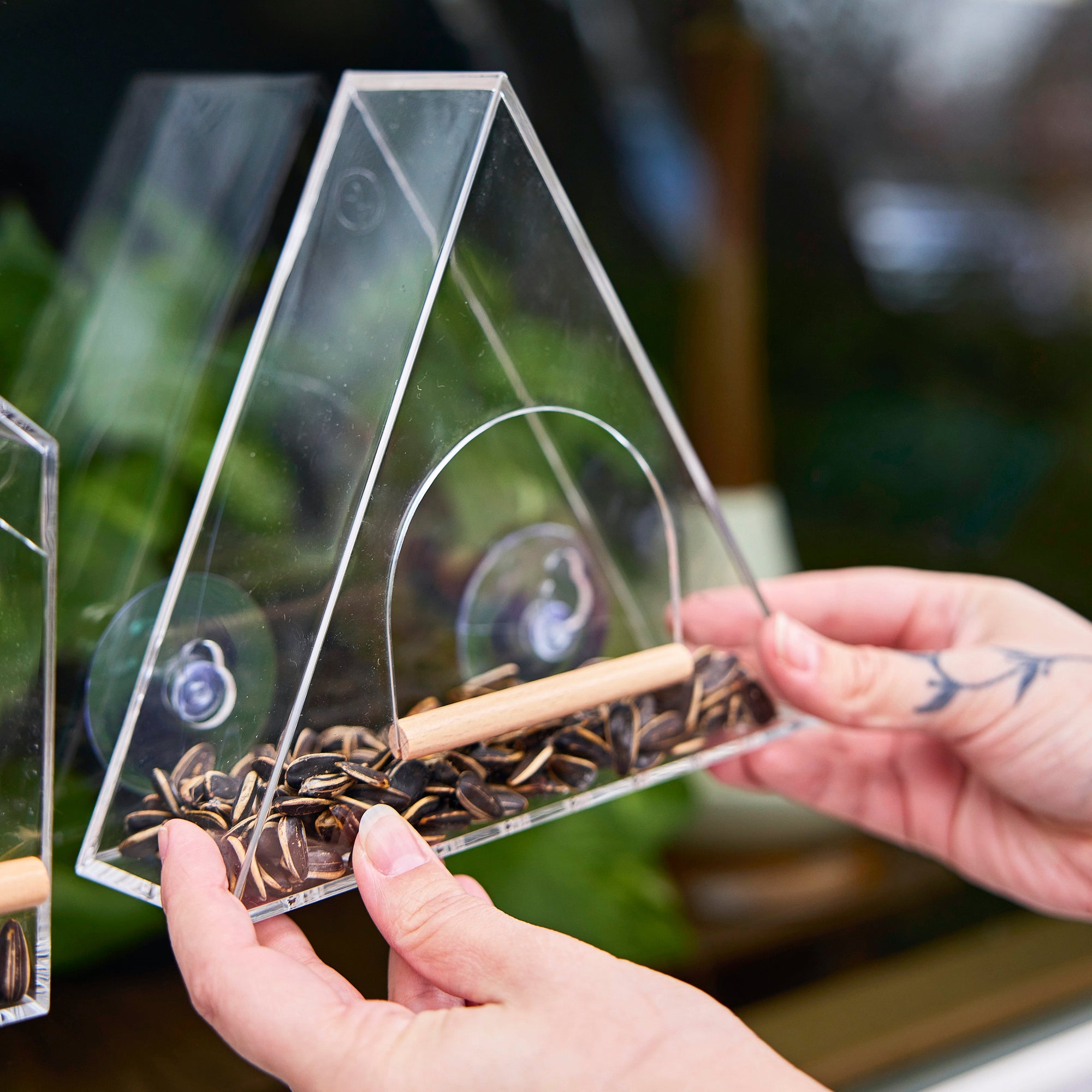 Block Window Birdfeeder by Modern Sprout suction-mounted to a glass window, filled with seed