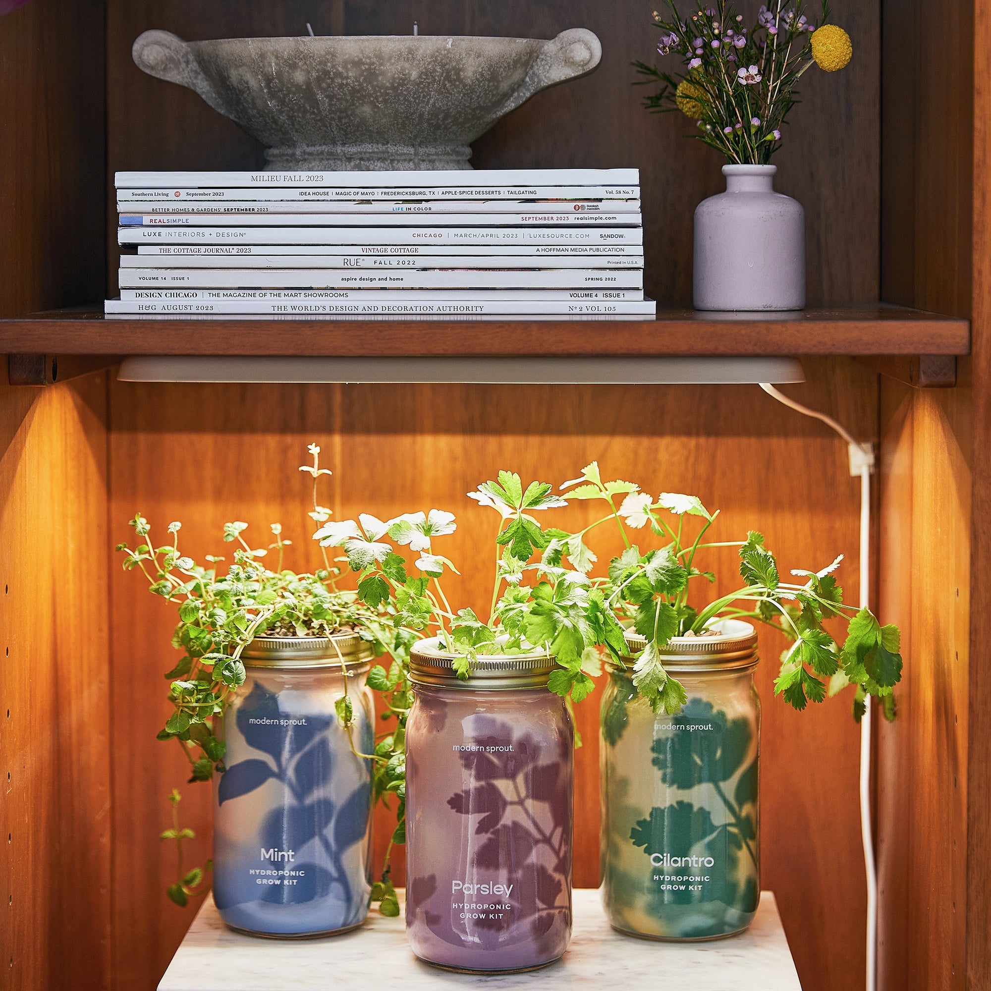 Modern Sprout Garden Jars under a grow light