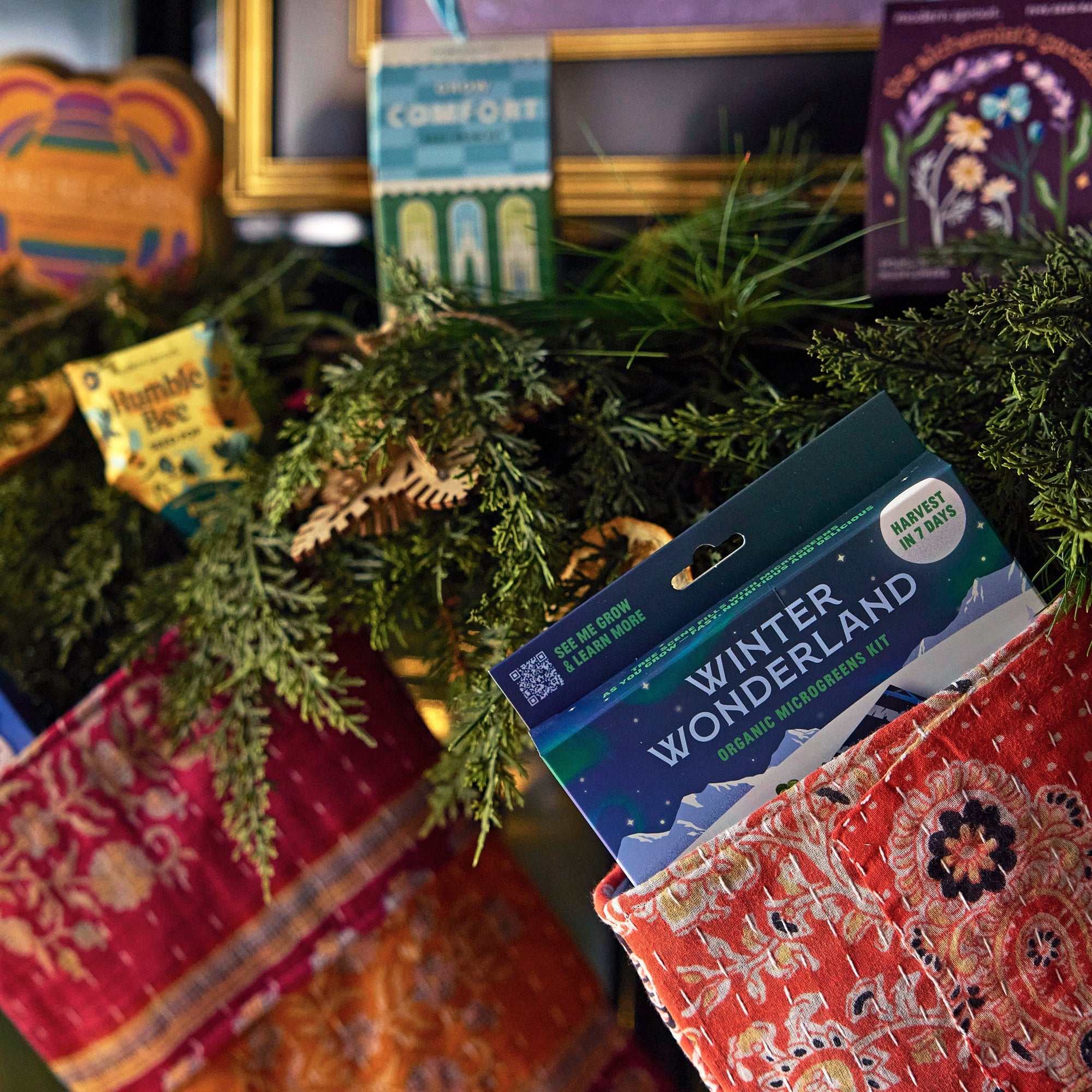 Stockings with modern sprout products