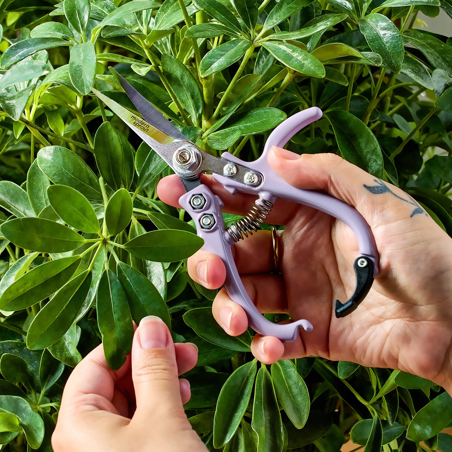 Pruning Shears - Lightweight & Durable Garden Clippers by Modern Sprout