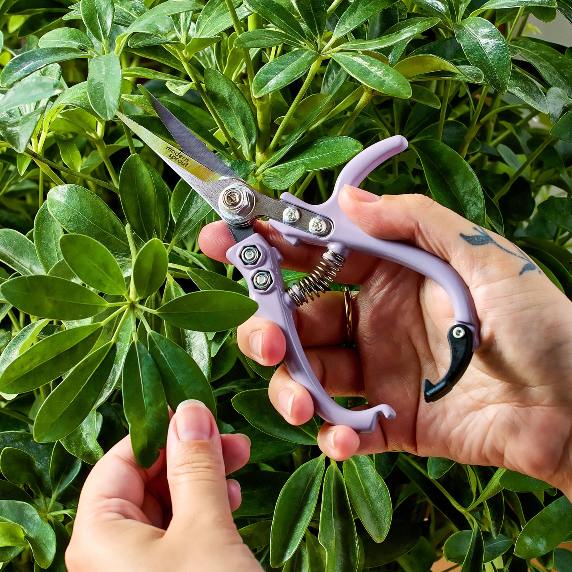 Pruning Shears - Lightweight & Durable Garden Clippers by Modern Sprout