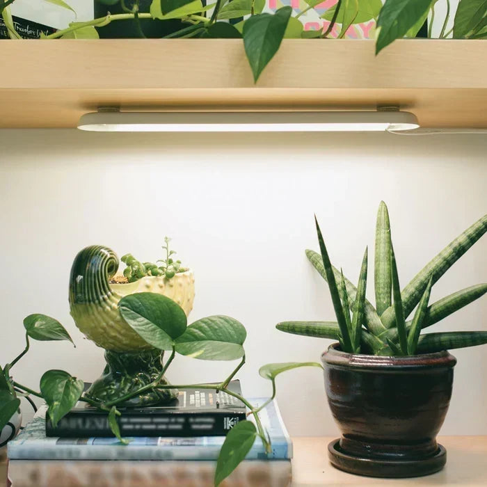 grow bar light with plants under it