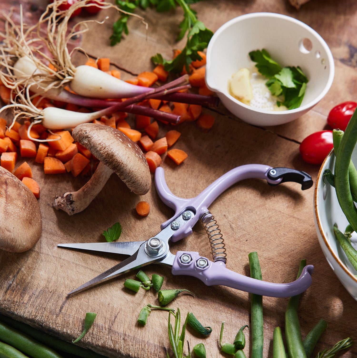 Fall Vegetable Garden: What to Plant When the Season Turns