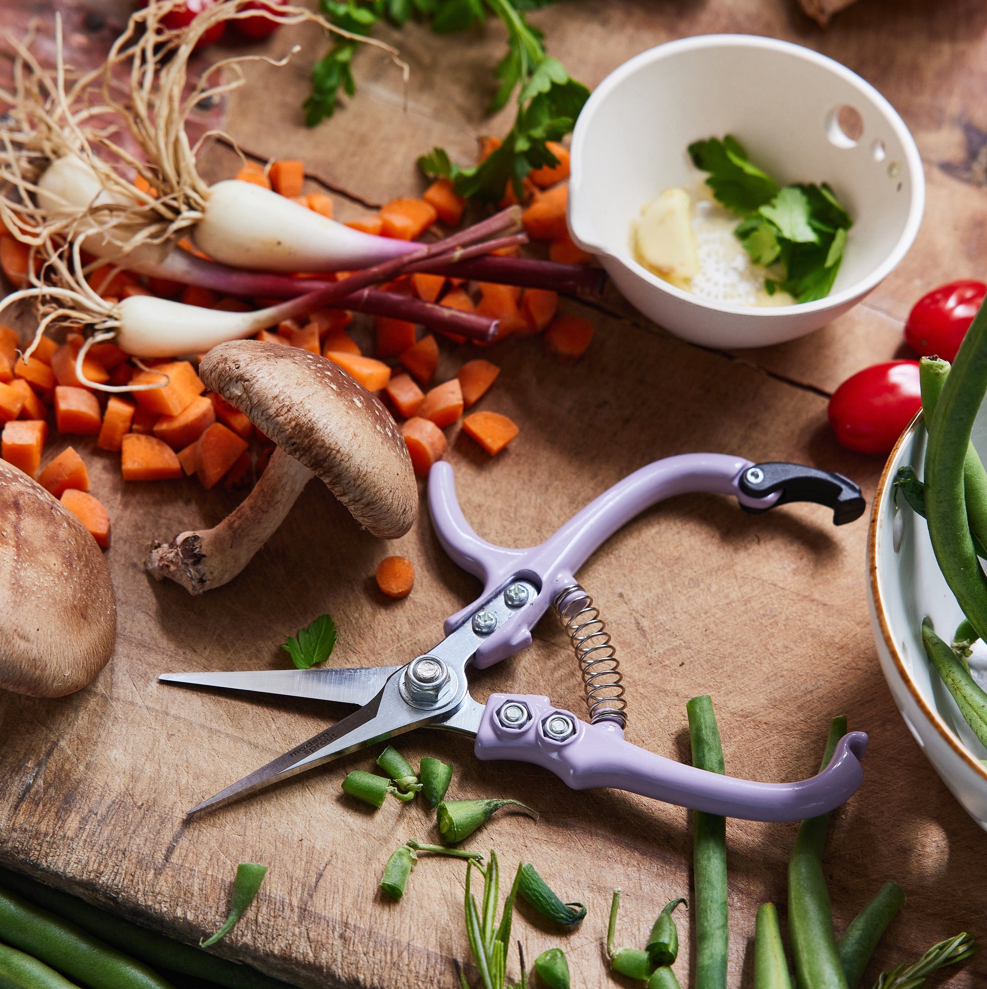 Fall Vegetable Garden: What to Plant When the Season Turns