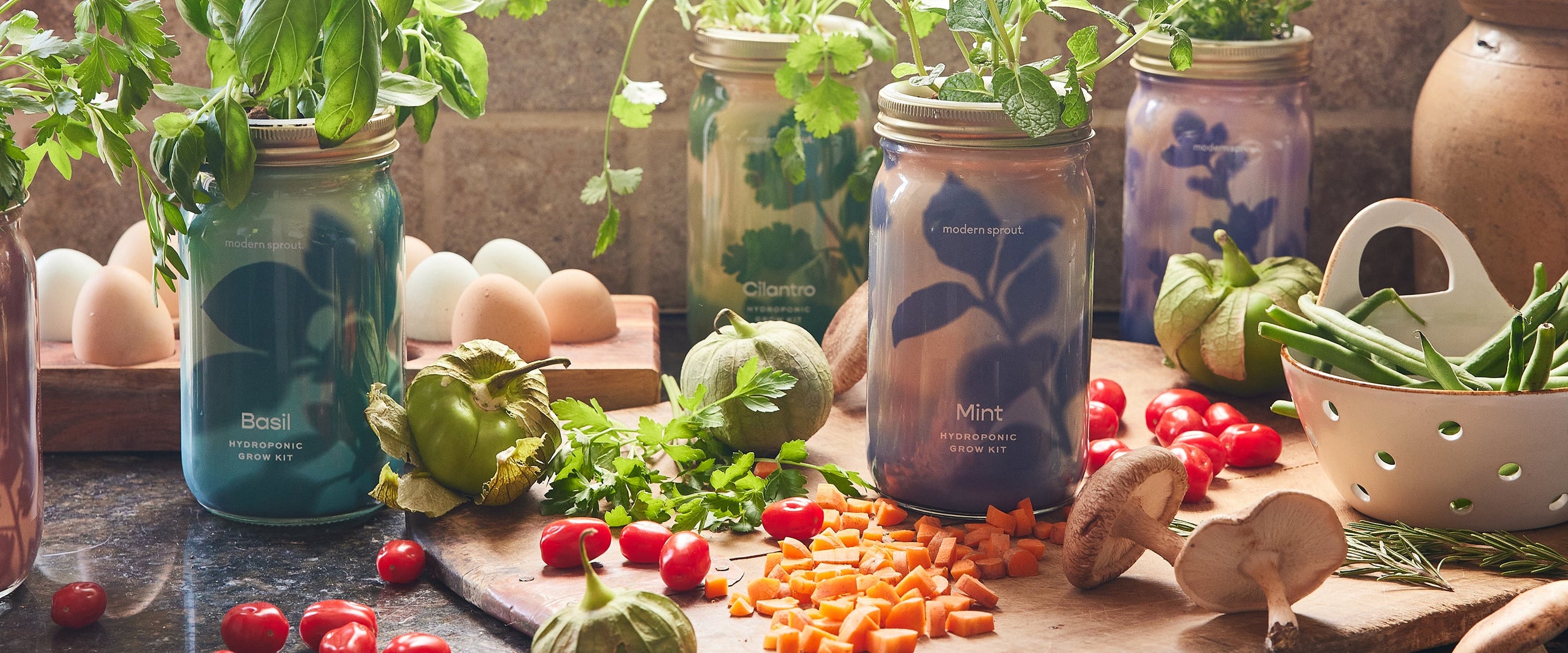 gifts for culinary enthusiasts