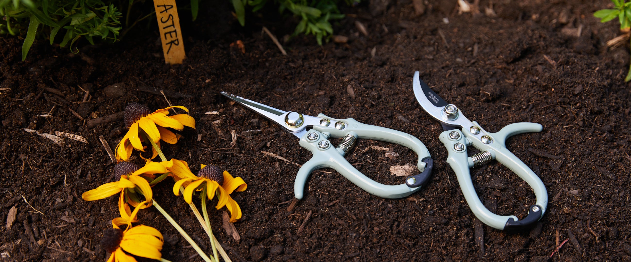 Gifts for Outdoor Gardeners