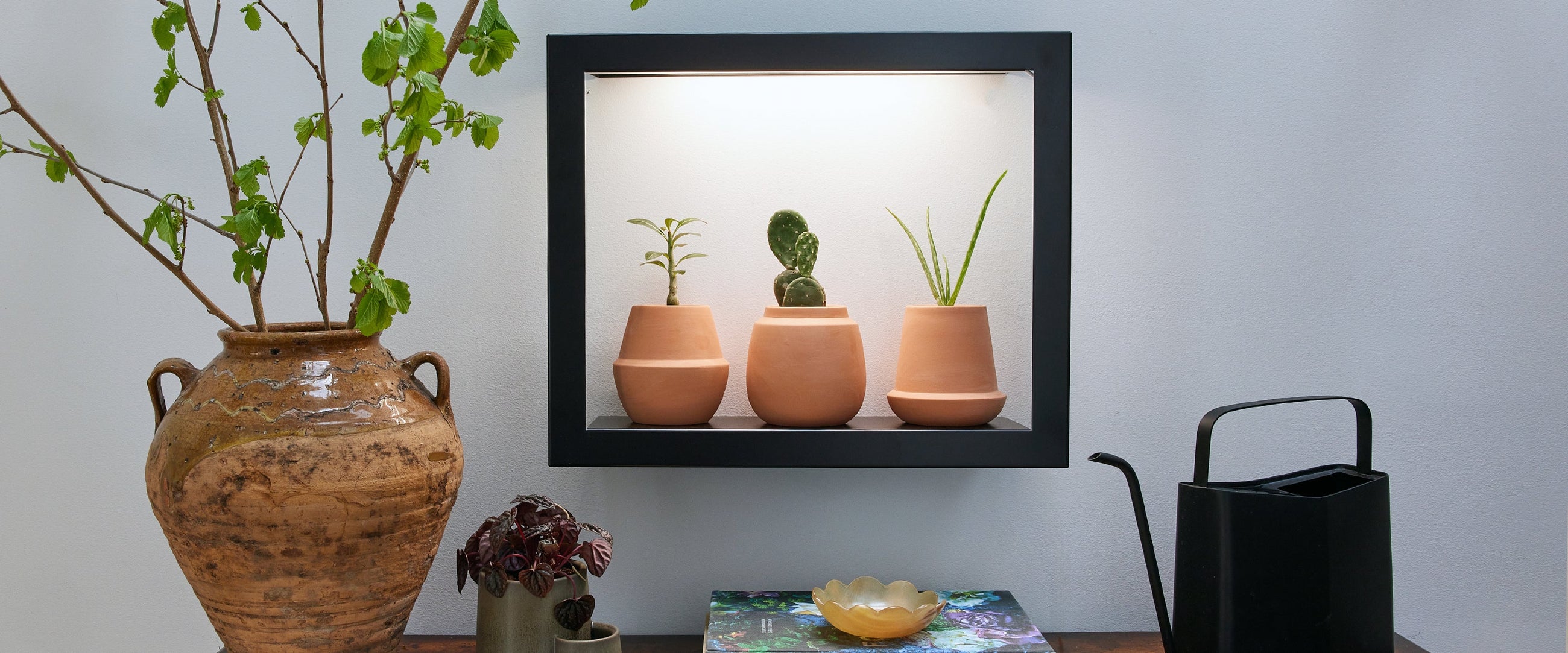 grow lights for indoor plants