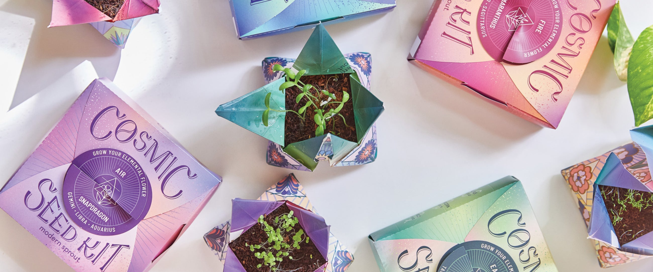 Party & Shower Favors