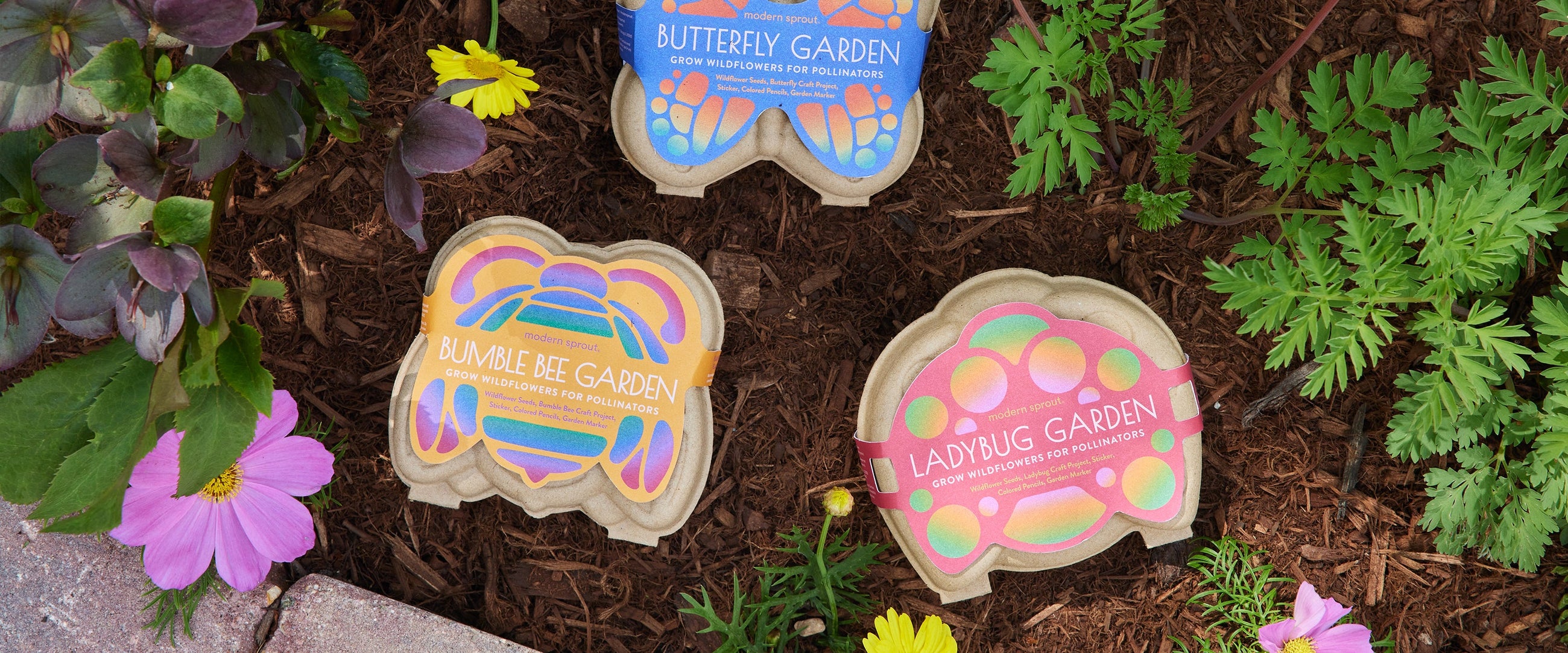 playful planting seed kits