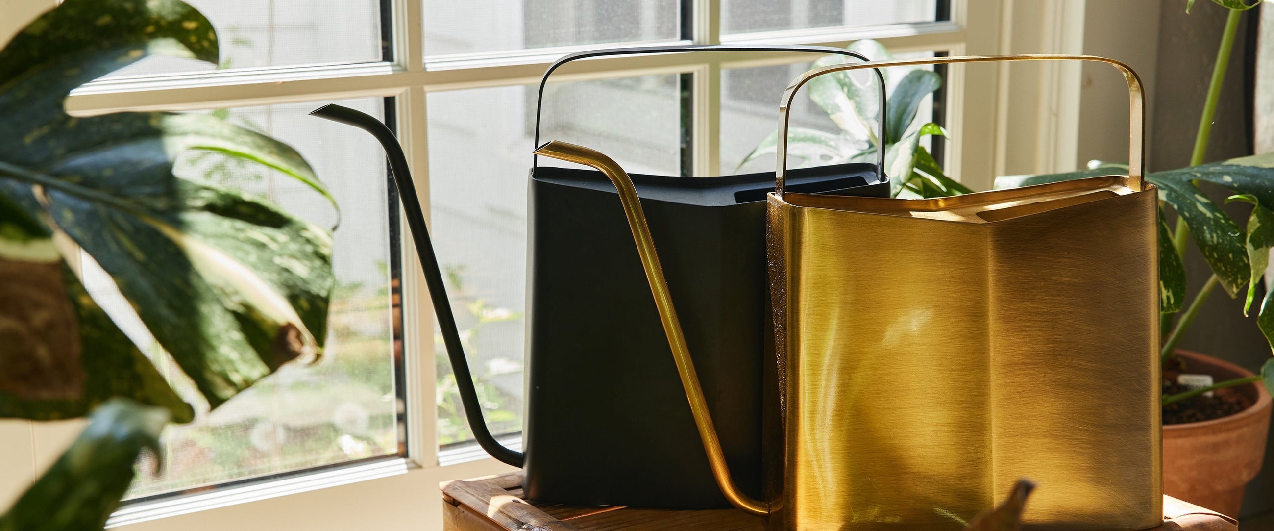 indoor plant care & accessories