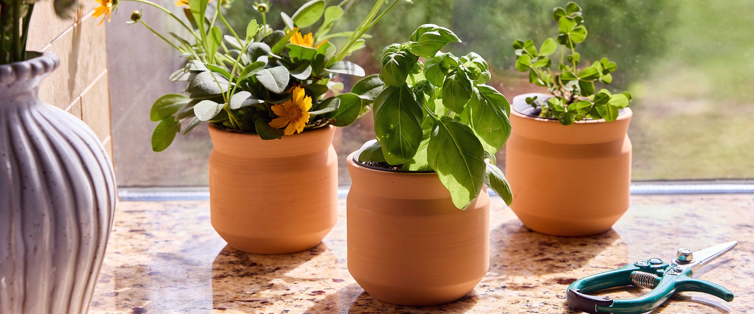 indoor herb garden grow kits