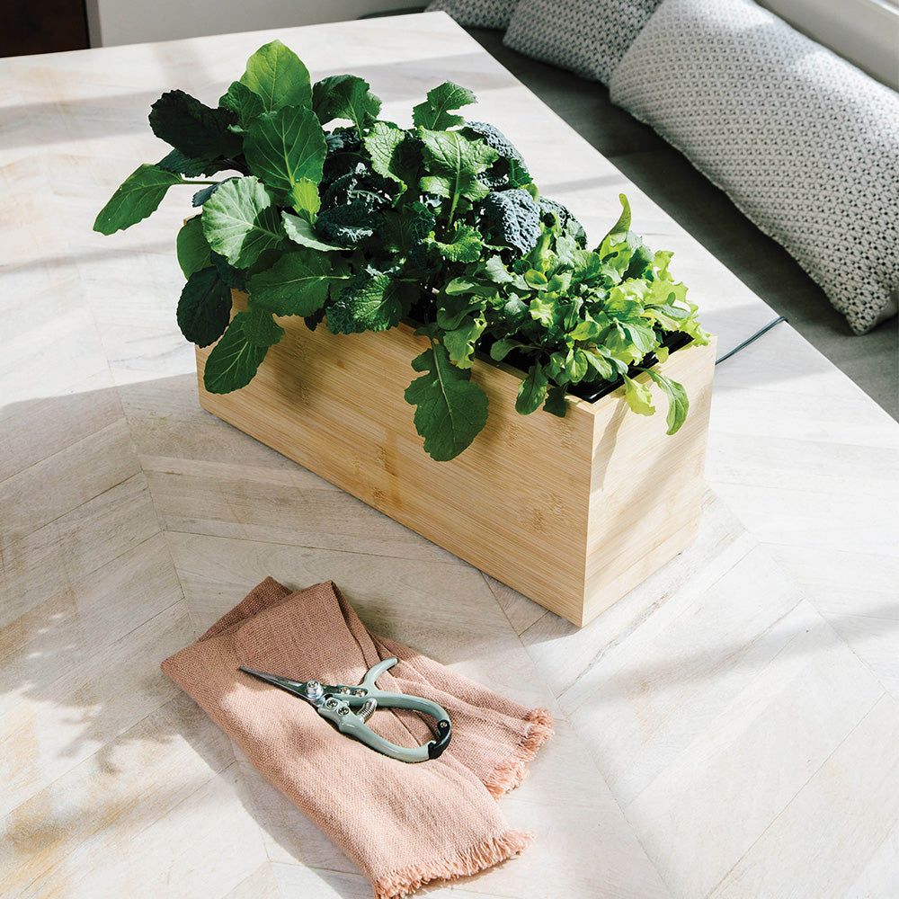 Wooden indoor hydroponic planter with lush green plants on a sunlit floor, next to gardening scissors and a pink towel.