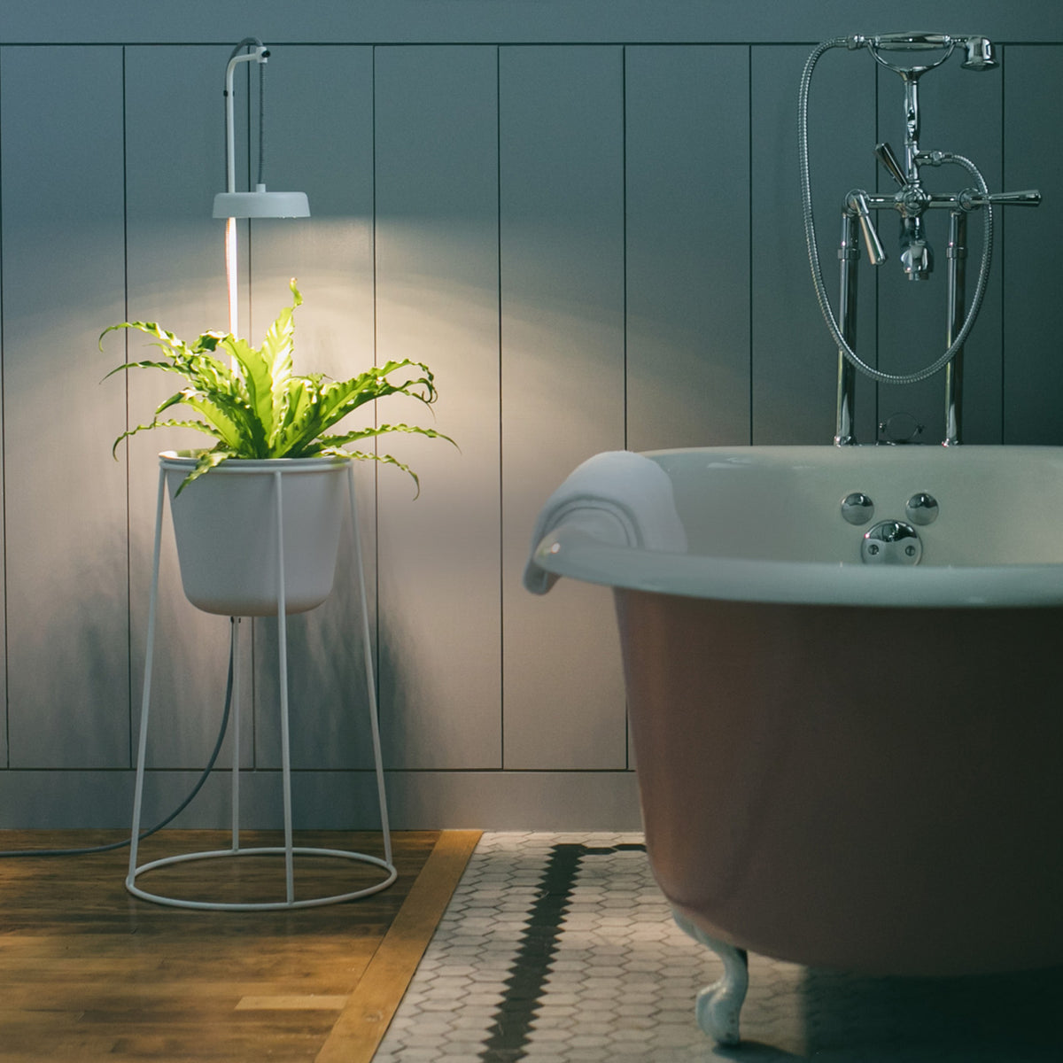 Indoor hydroponic plant in white pot with integrated grow light, next to a classic bathtub.