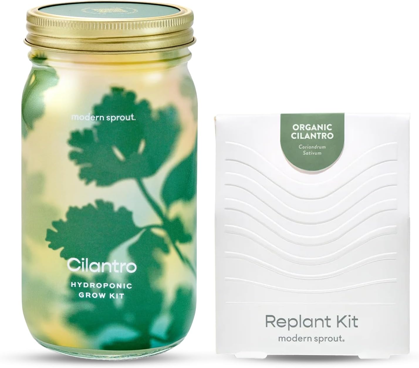 Garden Jars - Organic Herbs