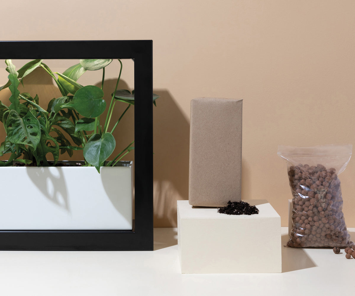 Hydroponic indoor garden kit with plants, growing medium, and nutrients on display.