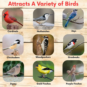 Cardinal & Finch Feast Wild Bird Seed Blend