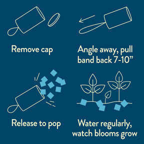 Instructions for using a Seed Confetti Popper, showing steps to remove cap, pull band, release seeds, and care for plants.