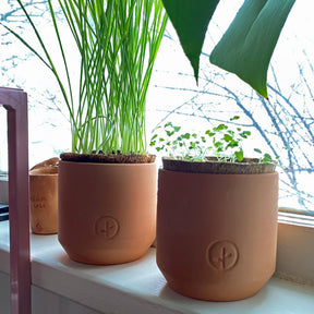 Tiny terracotta grow kits with green sprouts sit on a windowsill, showcasing a natural, earthy aesthetic.