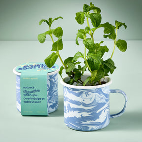 Marbled mug with mint plant growing inside, accompanied by a packaging label highlighting its digestive benefits.