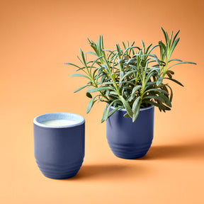 Garden Vibes Candle and Planter features a blue ceramic container with a candle and a matching planter with greenery.