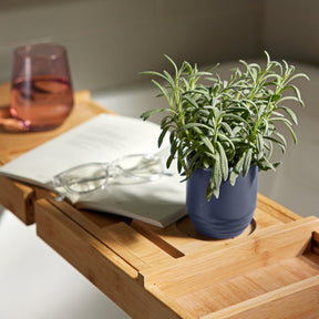 Garden Vibes Candle/Planter features a blue planter with a green plant, resting on a bamboo tray with a book and glasses.