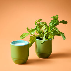 Green ceramic candle and planter set, featuring a mint plant in the planter and a white candle in the other.