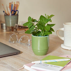 Green candle planter with fresh mint leaves on a desk, surrounded by office supplies and a laptop.
