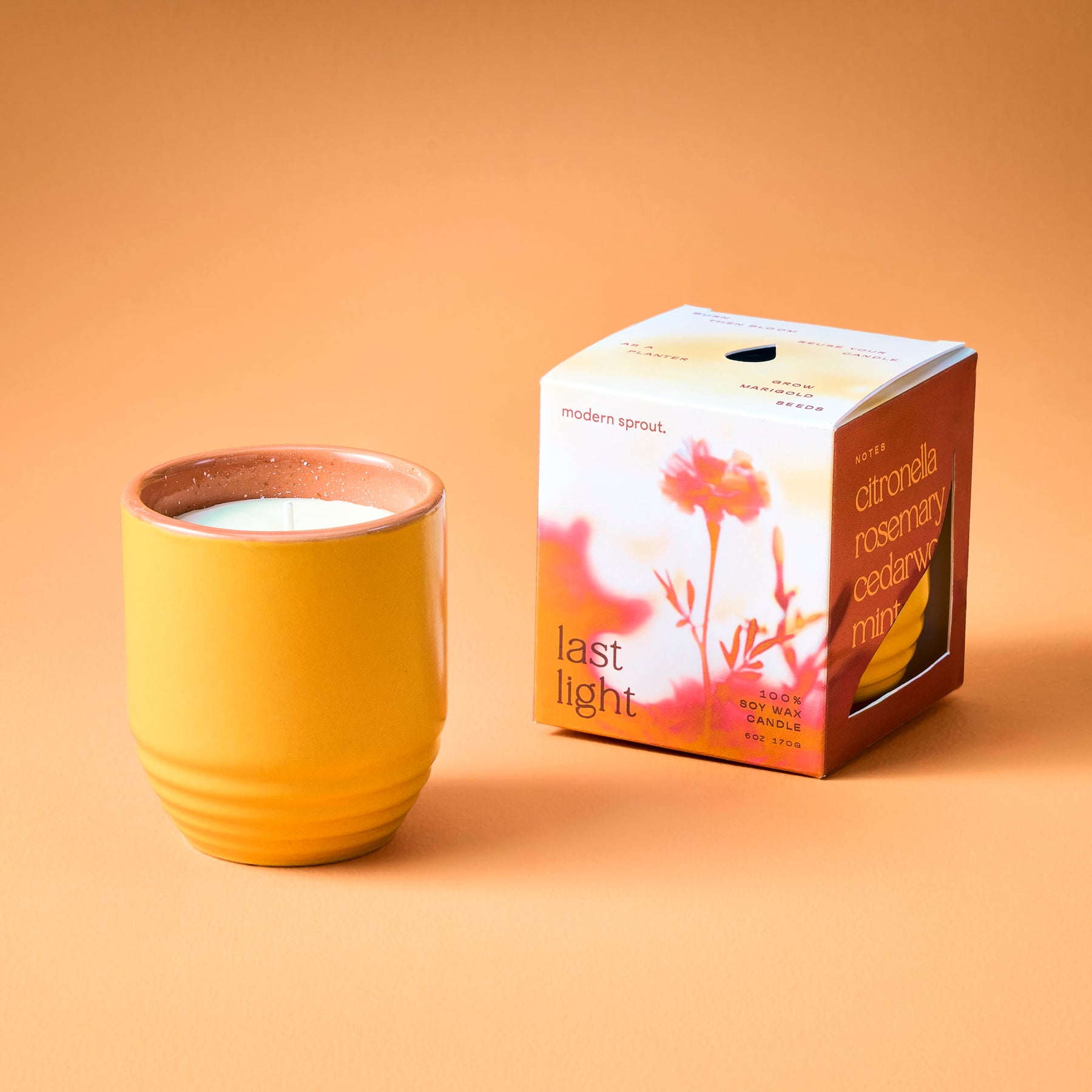 Yellow ceramic planter with a candle inside, accompanied by a colorful box labeled "Last Light" featuring floral imagery.