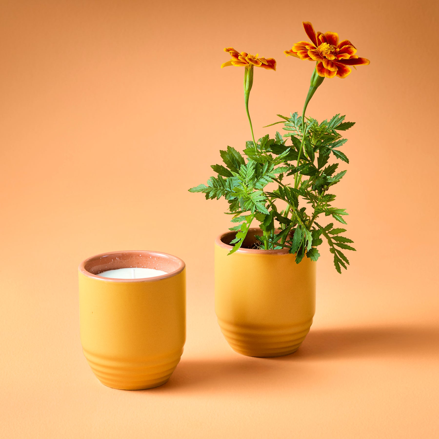 Yellow ceramic candle and planter featuring marigold flowers, set against a warm orange background.