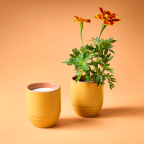 Yellow ceramic candle and planter featuring marigold flowers, set against a warm orange background.