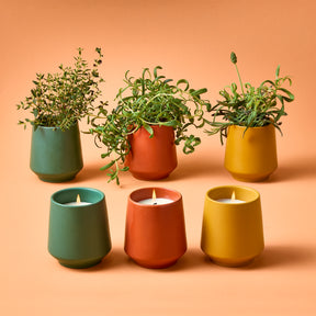 Colorful ceramic candles in green, orange, and yellow pots, with herbs growing in some, set against an orange background.