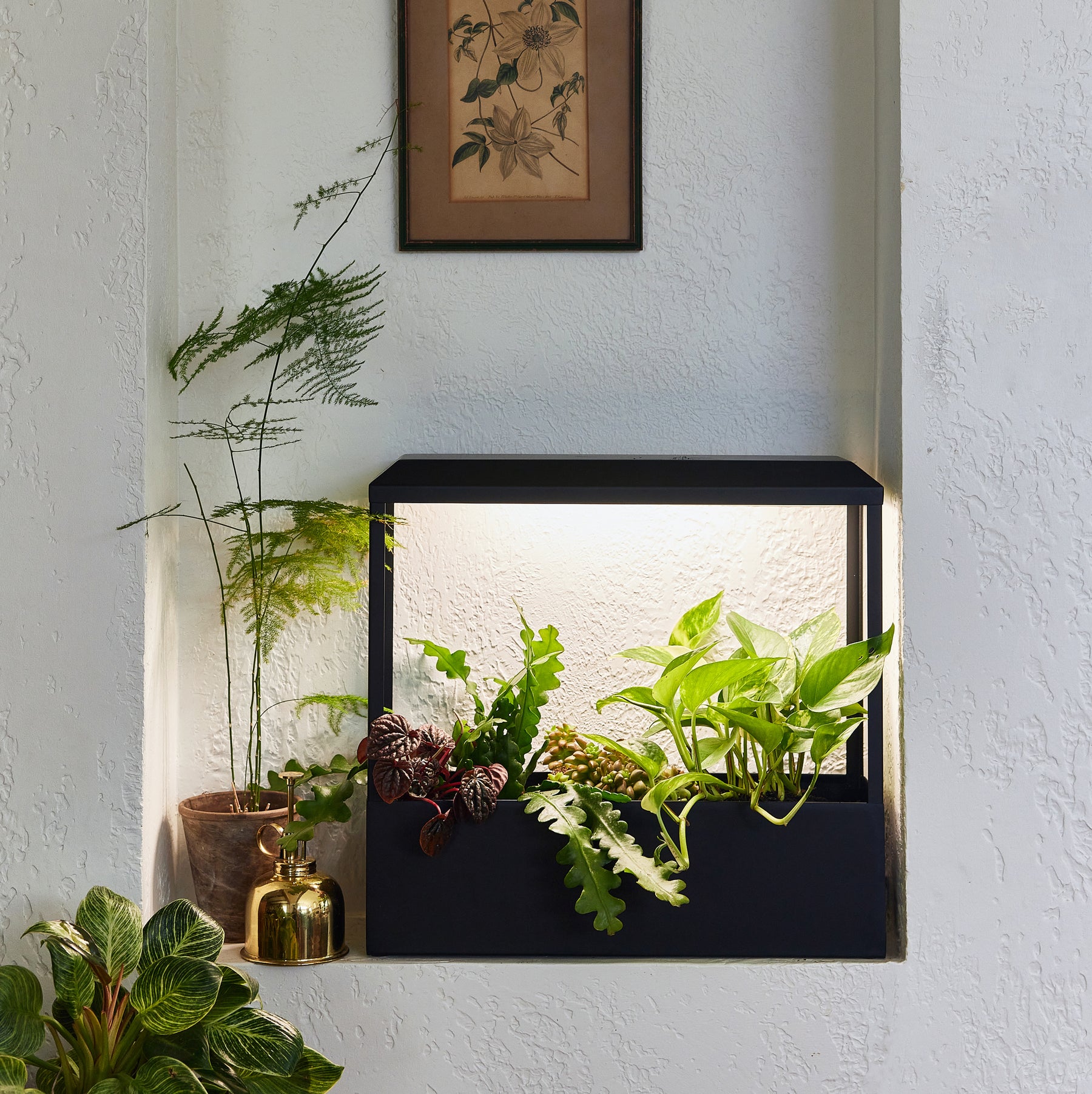 Smart Growhouse