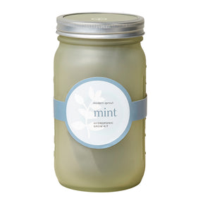 Green glass garden jar featuring a mint hydroponic grow kit label, designed for indoor herb cultivation.