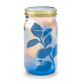 Clear glass jar labeled "Mint" containing a hydroponic grow kit for organic herbs, featuring a gold lid and plant silhouette.
