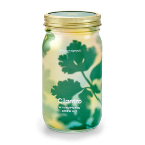 Organic herb garden jar featuring a cilantro hydroponic grow kit with a vibrant green design.