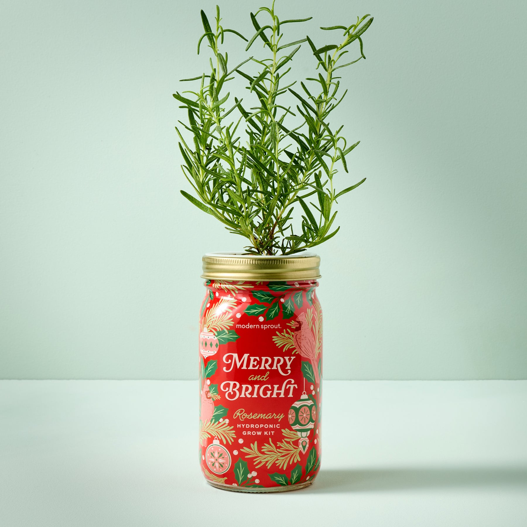 Holiday Garden Jars