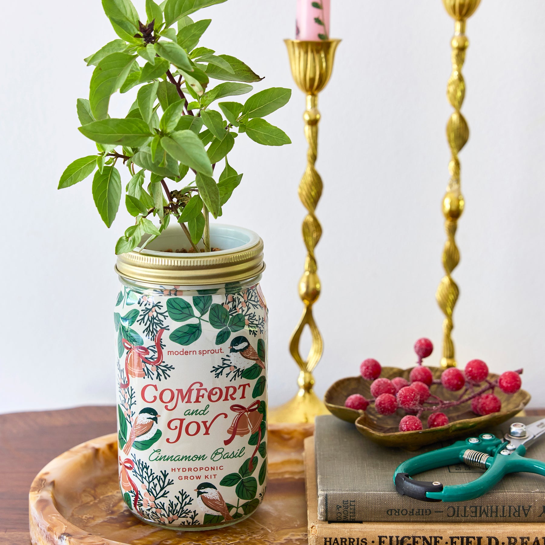 Holiday Garden Jars