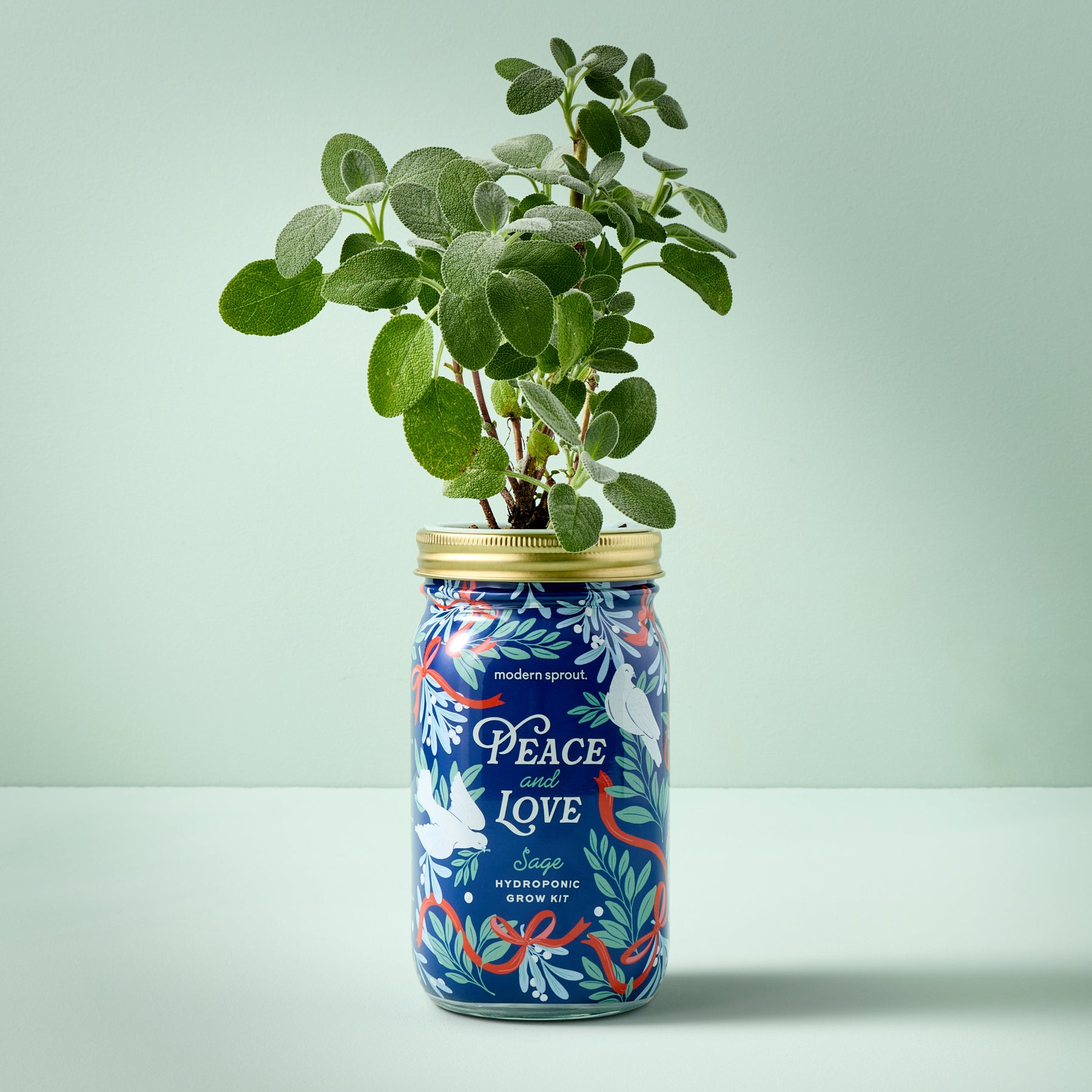 Holiday Garden Jars